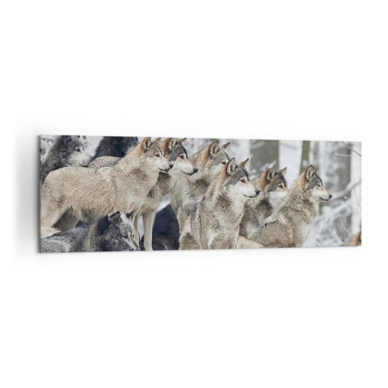 Obraz na płótnie - Rodzina i przyjaciele - 160x50cm - Wataha Wilków Wilki Zwierzęta - Nowoczesny foto obraz w ramie do salonu do sypialni ARTTOR ARTTOR