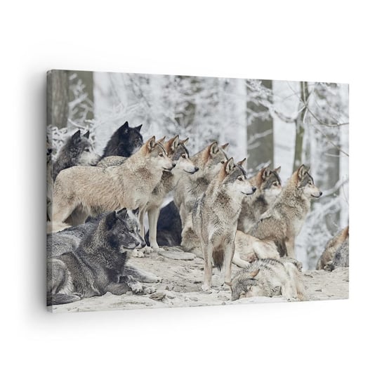 Obraz na płótnie - Rodzina i przyjaciele - 70x50cm - Wataha Wilków Wilki Zwierzęta - Nowoczesny Canvas obraz do salonu do sypialni ARTTOR ARTTOR