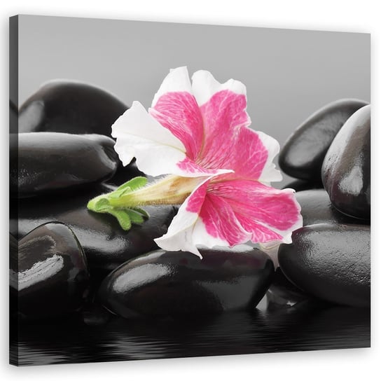 Obraz Na Płótnie, Różowy Kwiat Na Kamieniach Zen - 60X60 Pozostali producenci