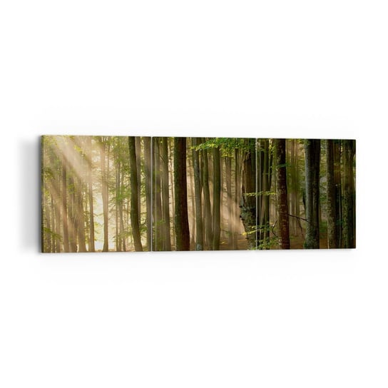 Obraz na płótnie - Rozpromieniony w wiosenny poranek - 120x40 cm - Obraz nowoczesny - Krajobraz, Las, Park, Promienie Słońca, Natura - CA120x40-3628 ARTTOR