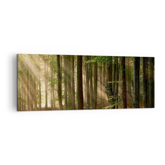 Obraz na płótnie - Rozpromieniony w wiosenny poranek - 140x50 cm - Obraz nowoczesny - Krajobraz, Las, Park, Promienie Słońca, Natura - AB140x50-3628 ARTTOR