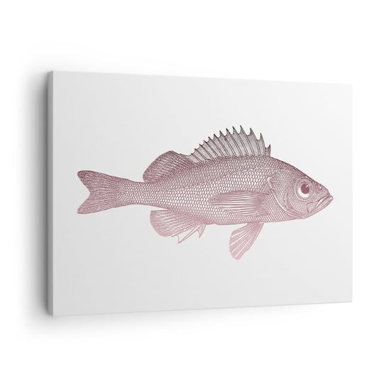 Obraz na płótnie - Ryba wielkooka - 70x50cm - Ryba Podwodny Minimalistyczny - Nowoczesny Canvas obraz do salonu do sypialni ARTTOR ARTTOR