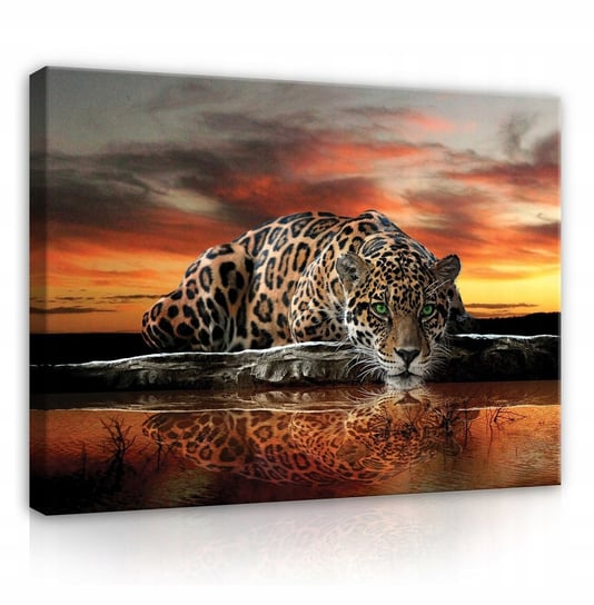 Obraz Na Płótnie Ścianę Do Salonu Sypialni JAGUAR tygrys zwierzęta 100x70 Consalnet
