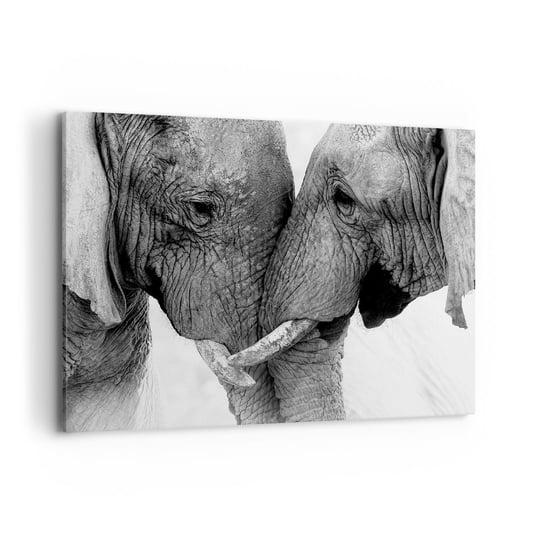 Obraz na płótnie - Serdeczne wyznanie - 100x70cm - Słoń Zwierzęta Afryka - Nowoczesny foto obraz w ramie do salonu do sypialni ARTTOR ARTTOR