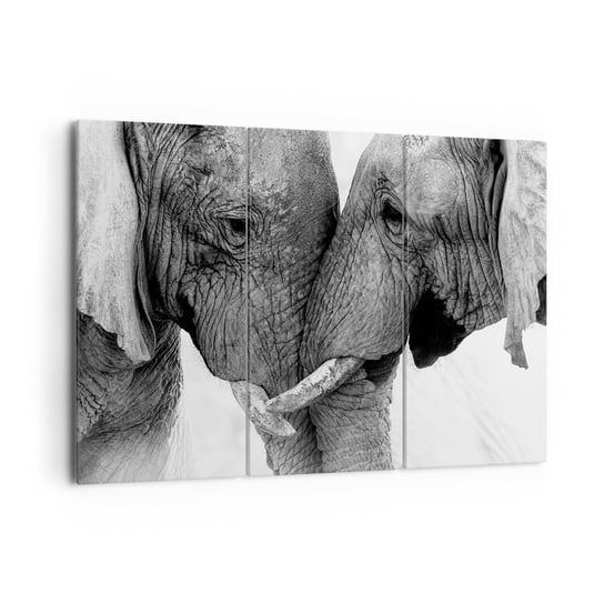 Obraz na płótnie - Serdeczne wyznanie - 165x110 cm - Obraz nowoczesny - Słoń, Zwierzęta, Afryka, Czarno-Biały, Miłość - CE165x110-4973 ARTTOR