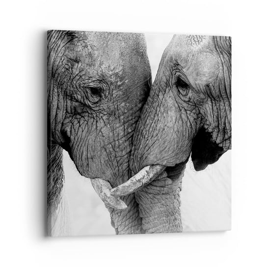 Obraz na płótnie - Serdeczne wyznanie - 30x30 cm - Obraz nowoczesny - Słoń, Zwierzęta, Afryka, Czarno-Biały, Miłość - AC30x30-4973 ARTTOR