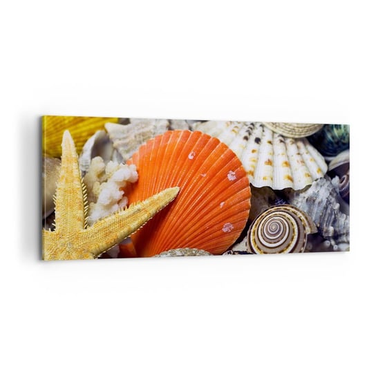 Obraz na płótnie - Skarby oceanu - 100x40cm - Natura Muszle Rafa Koralowa - Nowoczesny foto obraz w ramie do salonu do sypialni ARTTOR ARTTOR
