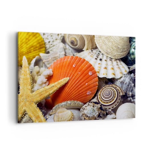 Obraz na płótnie - Skarby oceanu - 100x70cm - Natura Muszle Rafa Koralowa - Nowoczesny foto obraz w ramie do salonu do sypialni ARTTOR ARTTOR
