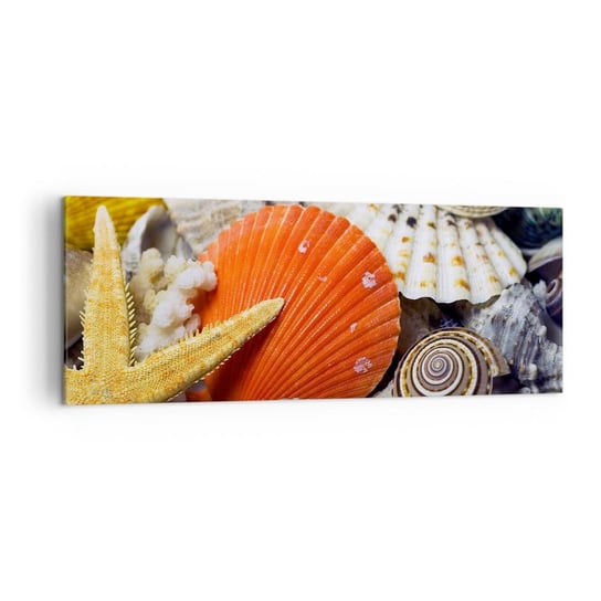 Obraz na płótnie - Skarby oceanu - 140x50cm - Natura Muszle Rafa Koralowa - Nowoczesny Canvas obraz do salonu do sypialni ARTTOR ARTTOR