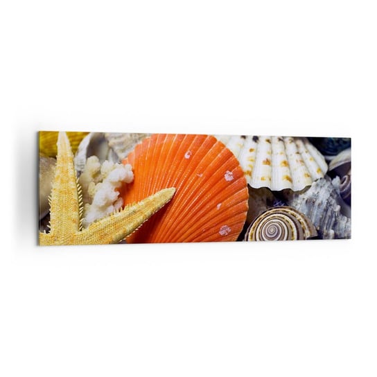 Obraz na płótnie - Skarby oceanu - 160x50cm - Natura Muszle Rafa Koralowa - Nowoczesny foto obraz w ramie do salonu do sypialni ARTTOR ARTTOR