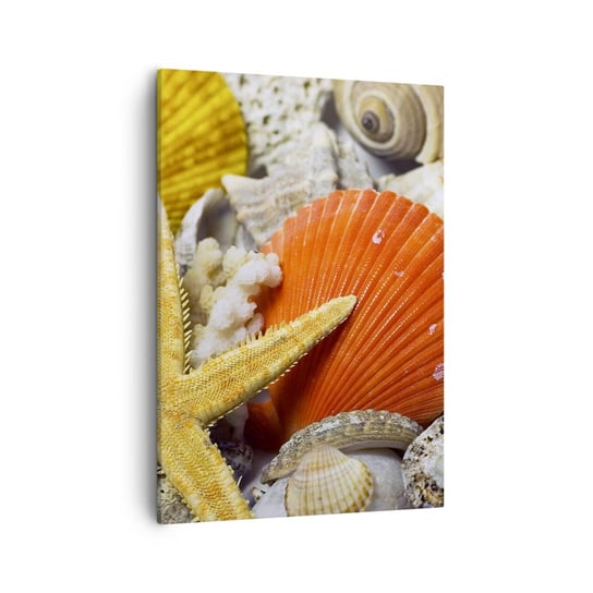 Obraz na płótnie - Skarby oceanu - 50x70cm - Natura Muszle Rafa Koralowa - Nowoczesny Canvas obraz do salonu do sypialni ARTTOR ARTTOR