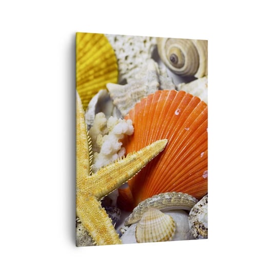 Obraz na płótnie - Skarby oceanu - 70x100cm - Natura Muszle Rafa Koralowa - Nowoczesny foto obraz w ramie do salonu do sypialni ARTTOR ARTTOR
