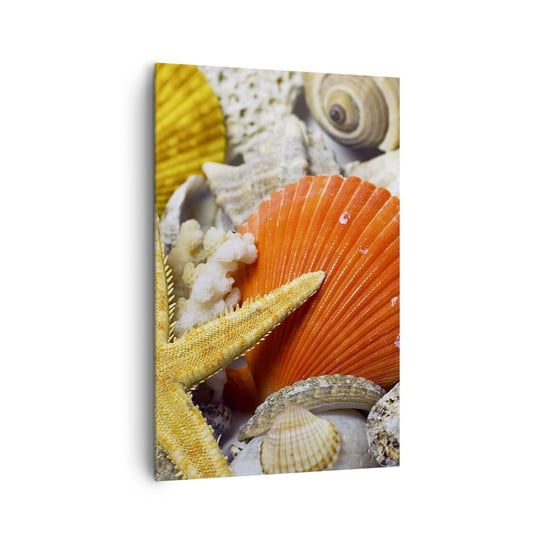Obraz na płótnie - Skarby oceanu - 80x120cm - Natura Muszle Rafa Koralowa - Nowoczesny obraz na ścianę do salonu do sypialni ARTTOR ARTTOR