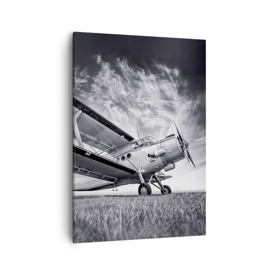 Obraz na płótnie - Skrzydlaty wędrowiec - 50x70cm - Samolot Lotnictwo Czarno-Biały - Nowoczesny Canvas obraz do salonu do sypialni ARTTOR ARTTOR