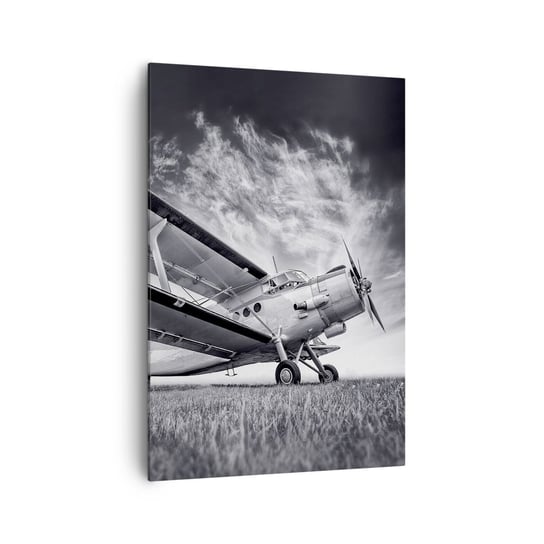 Obraz na płótnie - Skrzydlaty wędrowiec - 70x100cm - Samolot Lotnictwo Czarno-Biały - Nowoczesny foto obraz w ramie do salonu do sypialni ARTTOR ARTTOR