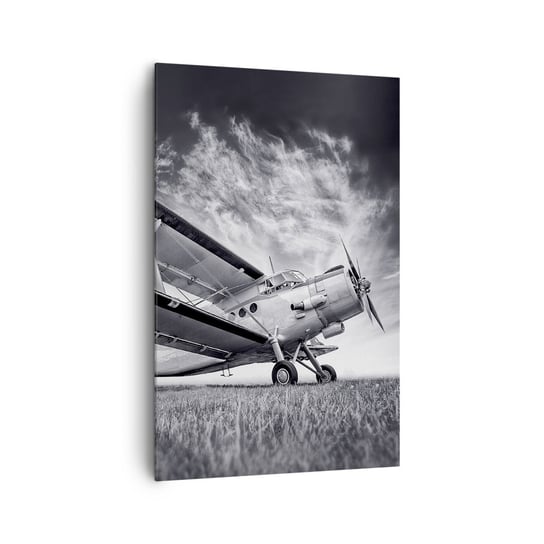 Obraz na płótnie - Skrzydlaty wędrowiec - 80x120cm - Samolot Lotnictwo Czarno-Biały - Nowoczesny obraz na ścianę do salonu do sypialni ARTTOR ARTTOR