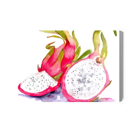 Obraz Na Płótnie Smoczy Owoc Malowany Akwarelą 100x70 Inna marka