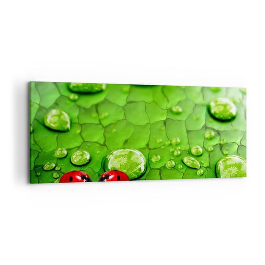Obraz na płótnie - Spotkanie w zieleni - 120x50cm - Natura Biedronka Kropla Wody - Nowoczesny obraz na ścianę do salonu do sypialni ARTTOR ARTTOR