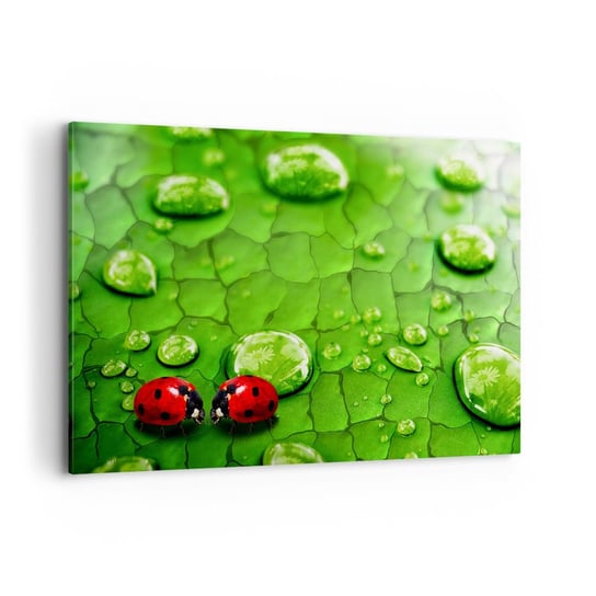 Obraz na płótnie - Spotkanie w zieleni - 120x80cm - Natura Biedronka Kropla Wody - Nowoczesny obraz na ścianę do salonu do sypialni ARTTOR ARTTOR
