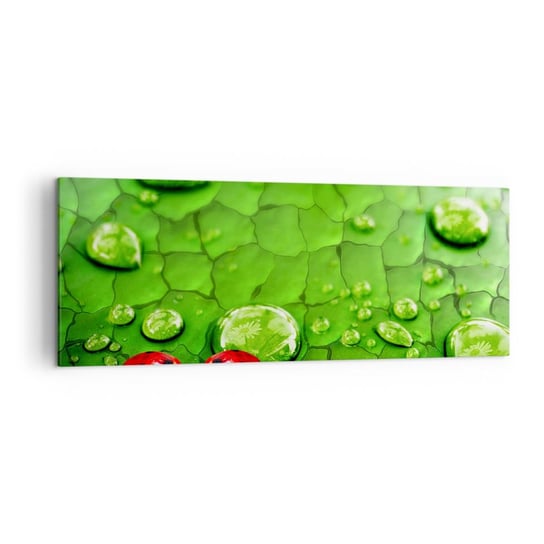 Obraz na płótnie - Spotkanie w zieleni - 140x50cm - Natura Biedronka Kropla Wody - Nowoczesny Canvas obraz do salonu do sypialni ARTTOR ARTTOR