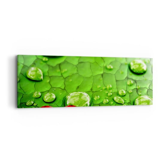 Obraz na płótnie - Spotkanie w zieleni - 90x30cm - Natura Biedronka Kropla Wody - Nowoczesny Canvas obraz do salonu do sypialni ARTTOR ARTTOR