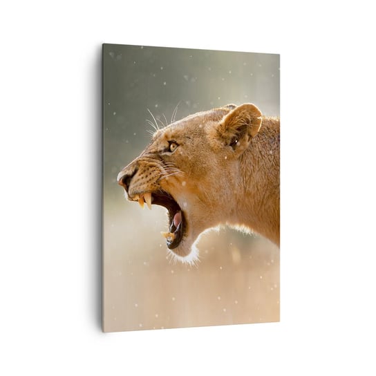 Obraz na płótnie - Spróbuj nie posłuchać - 70x100cm - Zwierzęta Lew Afryka - Nowoczesny foto obraz w ramie do salonu do sypialni ARTTOR ARTTOR