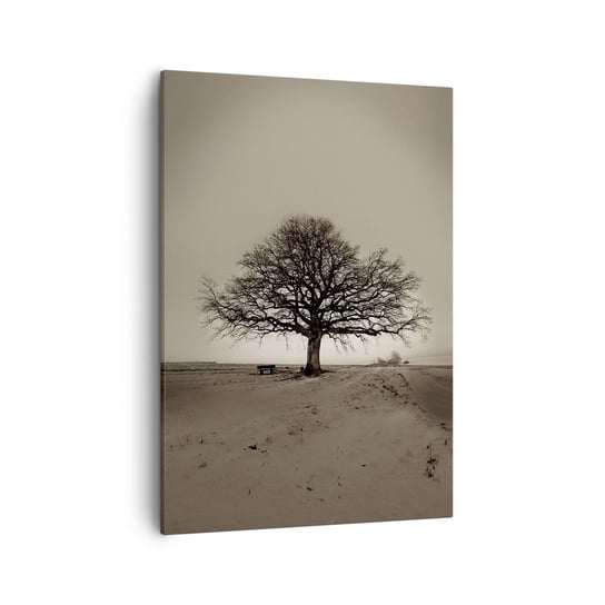 Obraz na płótnie - Stąd do wieczności - 50x70cm - Krajobraz Drzewo Natura - Nowoczesny Canvas obraz do salonu do sypialni ARTTOR ARTTOR