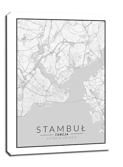 Obraz na płótnie Stambuł mapa czarno biała, 40x50 cm Galeria Plakatu