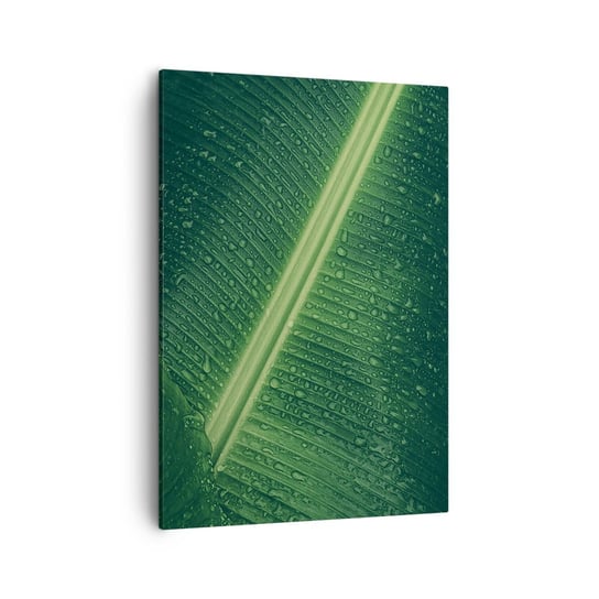 Obraz na płótnie - Struktura zieleni - 50x70cm - Zielony Liść Roślina Tropikalna Sztuka - Nowoczesny Canvas obraz do salonu do sypialni ARTTOR ARTTOR