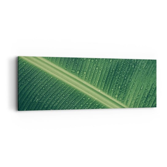 Obraz na płótnie - Struktura zieleni - 90x30cm - Zielony Liść Roślina Tropikalna Sztuka - Nowoczesny Canvas obraz do salonu do sypialni ARTTOR ARTTOR