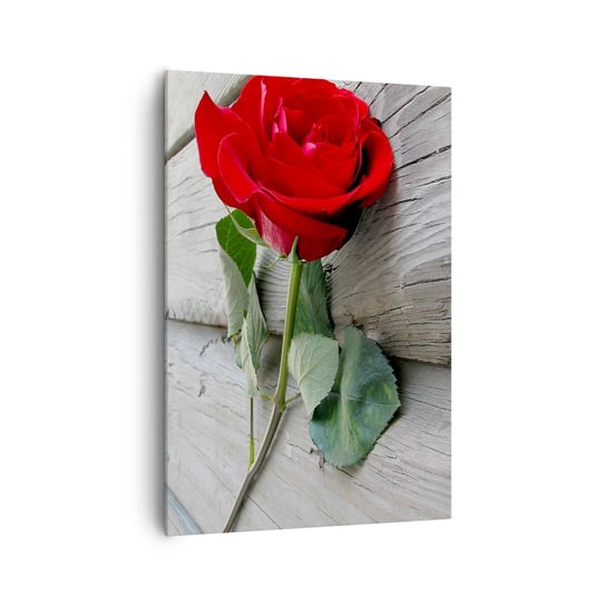 Obraz na płótnie - Studium w szkarłacie - 70x100cm - Róża Miłość Kwiat - Nowoczesny foto obraz w ramie do salonu do sypialni ARTTOR ARTTOR