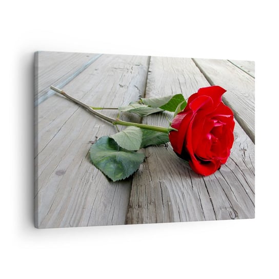 Obraz na płótnie - Studium w szkarłacie - 70x50cm - Róża Miłość Kwiat - Nowoczesny Canvas obraz do salonu do sypialni ARTTOR ARTTOR