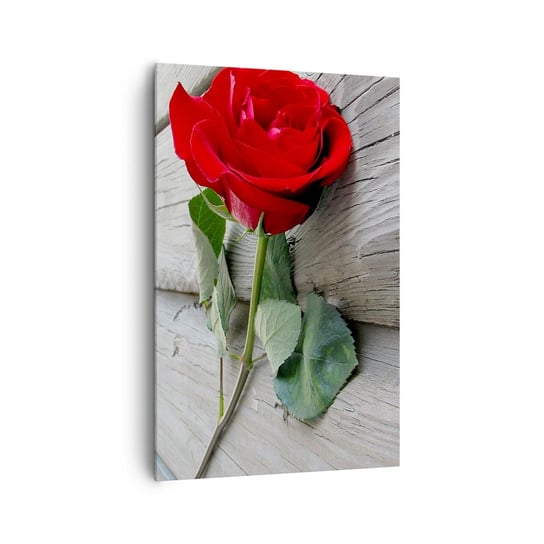Obraz na płótnie - Studium w szkarłacie - 80x120cm - Róża Miłość Kwiat - Nowoczesny obraz na ścianę do salonu do sypialni ARTTOR ARTTOR
