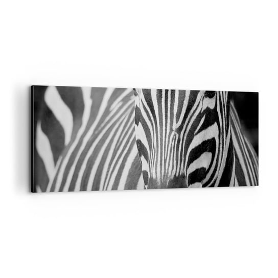 Obraz na płótnie - Świat jest czarno-biały - 100x40cm - Zwierzęta Zebra Czarno-Biały - Nowoczesny foto obraz w ramie do salonu do sypialni ARTTOR ARTTOR