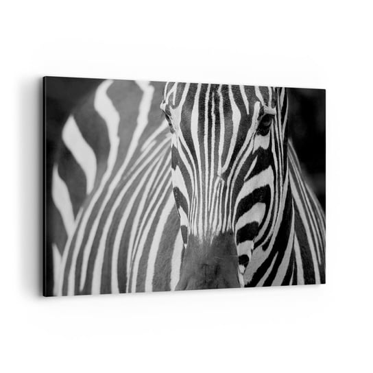 Obraz na płótnie - Świat jest czarno-biały - 120x80cm - Zwierzęta Zebra Czarno-Biały - Nowoczesny obraz na ścianę do salonu do sypialni ARTTOR ARTTOR