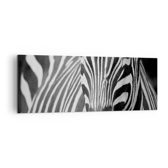 Obraz na płótnie - Świat jest czarno-biały - 140x50cm - Zwierzęta Zebra Czarno-Biały - Nowoczesny Canvas obraz do salonu do sypialni ARTTOR ARTTOR