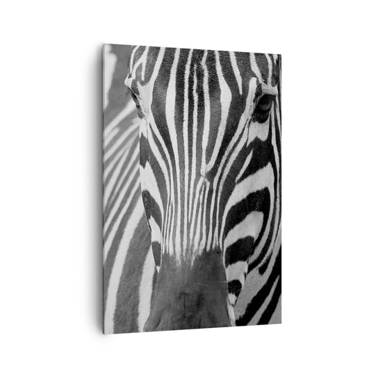 Obraz na płótnie - Świat jest czarno-biały - 70x100cm - Zwierzęta Zebra Czarno-Biały - Nowoczesny foto obraz w ramie do salonu do sypialni ARTTOR ARTTOR