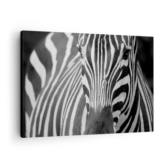 Obraz na płótnie - Świat jest czarno-biały - 70x50cm - Zwierzęta Zebra Czarno-Biały - Nowoczesny Canvas obraz do salonu do sypialni ARTTOR ARTTOR