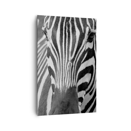 Obraz na płótnie - Świat jest czarno-biały - 80x120cm - Zwierzęta Zebra Czarno-Biały - Nowoczesny obraz na ścianę do salonu do sypialni ARTTOR ARTTOR