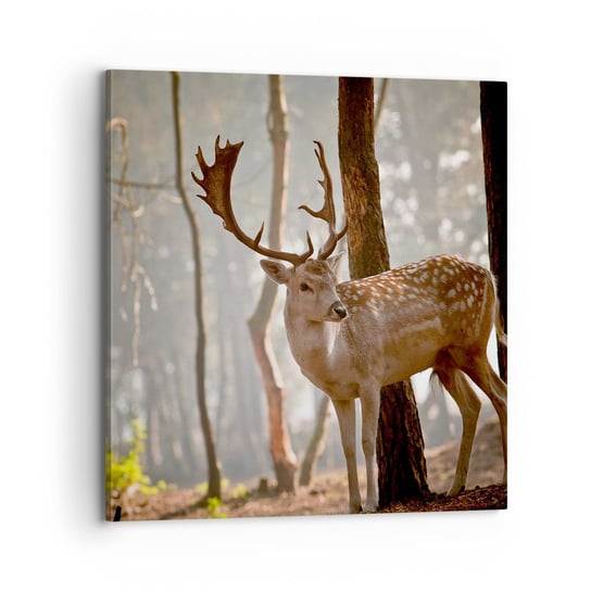 Obraz na płótnie - Światło młodości - 70x70 cm - Obraz nowoczesny - Zwierzęta, Jeleń, Las, Natura, Drzewa - AC70x70-2400 ARTTOR