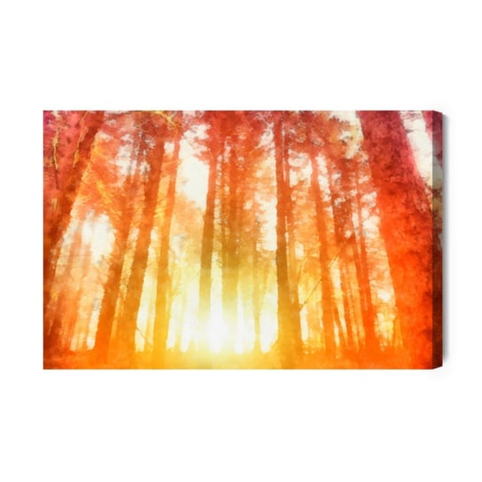 Obraz Na Płótnie Świt W Pięknym Lesie 100x70 Inna marka
