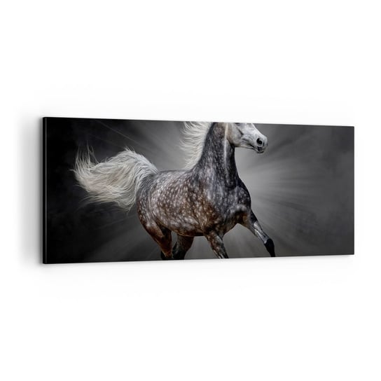 Obraz na płótnie - Szare jest piękne - 100x40cm - Zwierzęta Koń Arabski Natura - Nowoczesny foto obraz w ramie do salonu do sypialni ARTTOR ARTTOR