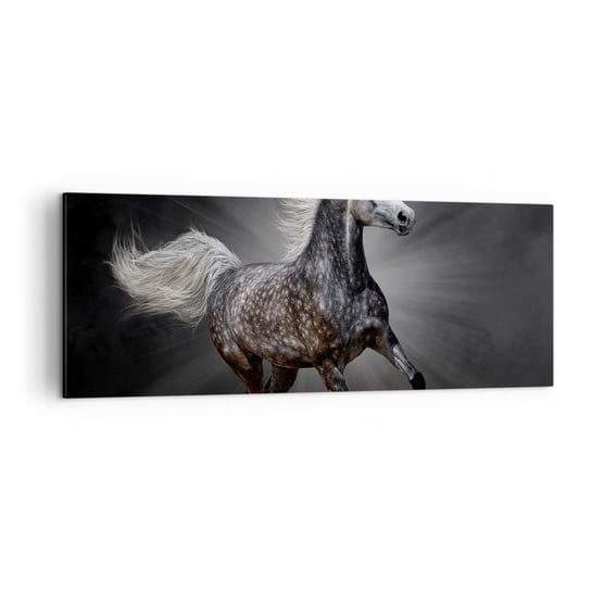 Obraz na płótnie - Szare jest piękne - 140x50cm - Zwierzęta Koń Arabski Natura - Nowoczesny Canvas obraz do salonu do sypialni ARTTOR ARTTOR