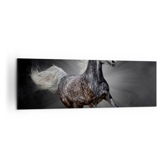Obraz na płótnie - Szare jest piękne - 160x50cm - Zwierzęta Koń Arabski Natura - Nowoczesny foto obraz w ramie do salonu do sypialni ARTTOR ARTTOR
