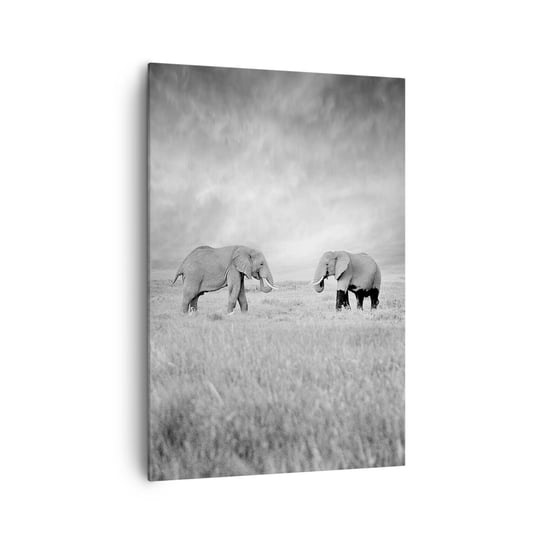 Obraz na płótnie - Szare jest piękne - 70x100cm - Słoń Zwierzęta Safari - Nowoczesny foto obraz w ramie do salonu do sypialni ARTTOR ARTTOR