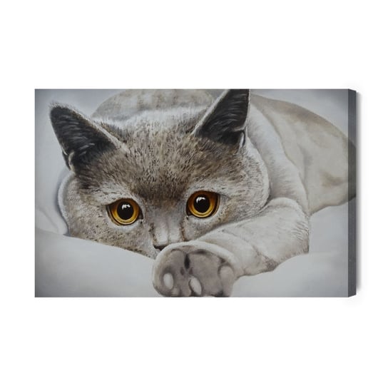 Obraz Na Płótnie Szary Kot Jak Malowany 100x70 Inna marka