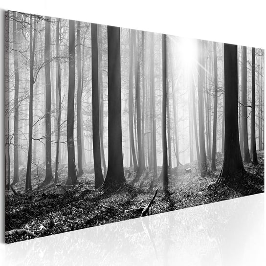 Obraz na płótnie, Szary, ponury las, 150x50 cm zakup.se