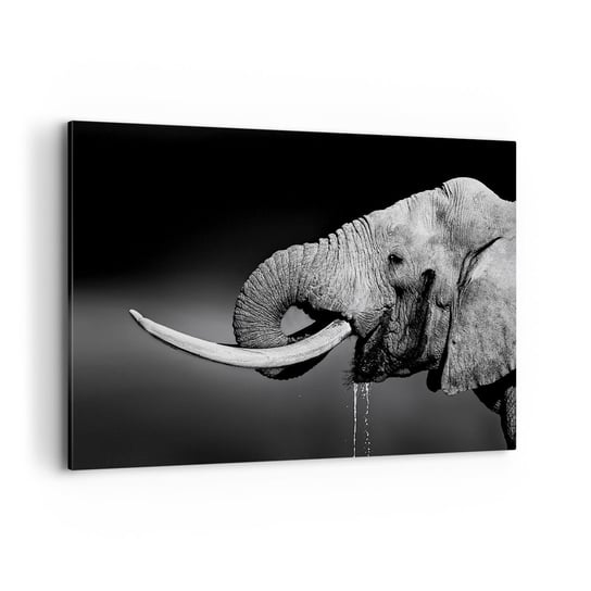 Obraz na płótnie - Tak, teraz dobrze - 120x80cm - Zwierzęta Słoń Afryka - Nowoczesny obraz na ścianę do salonu do sypialni ARTTOR ARTTOR