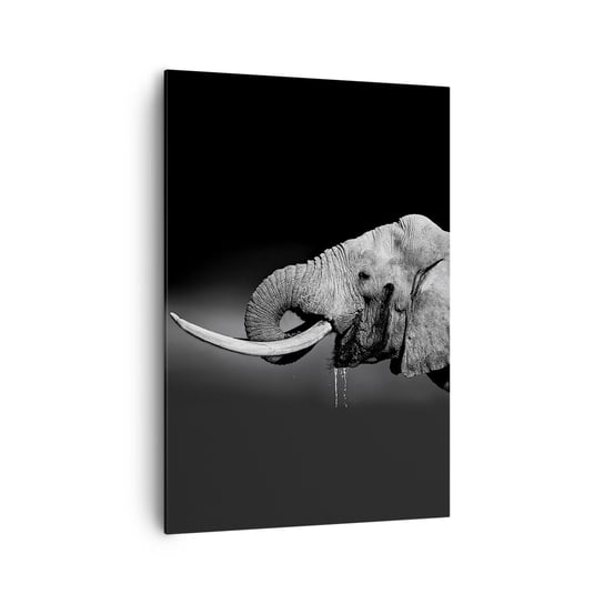 Obraz na płótnie - Tak, teraz dobrze - 70x100cm - Zwierzęta Słoń Afryka - Nowoczesny foto obraz w ramie do salonu do sypialni ARTTOR ARTTOR