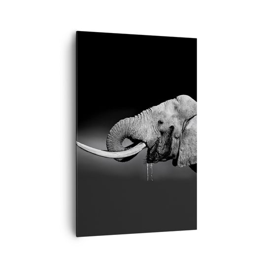 Obraz na płótnie - Tak, teraz dobrze - 80x120cm - Zwierzęta Słoń Afryka - Nowoczesny obraz na ścianę do salonu do sypialni ARTTOR ARTTOR